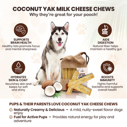 Coconut Yak Chews One Size Fits All