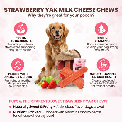 Strawberry Yak Chews One Size Fits All